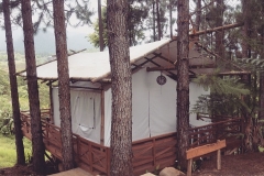 glamping-pine_opt