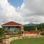 Restaurant / Sun Room3